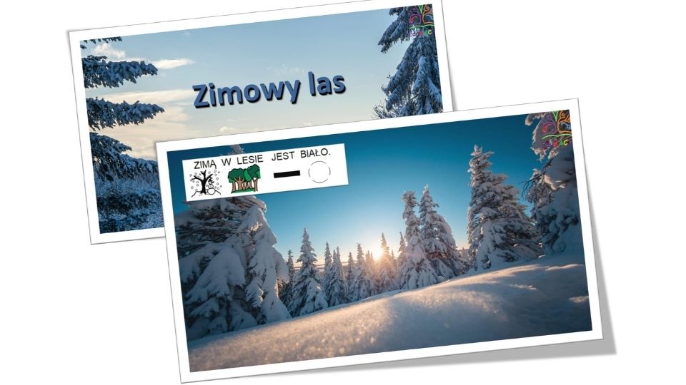 zimowy las pcs aac eduaacja