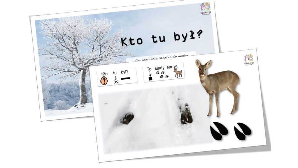 ślady zwierząt na śniegu aac