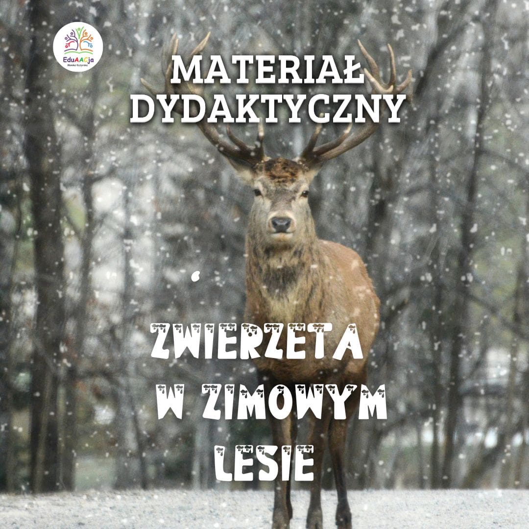 Pakiet Edukacyjny: Zwierzęta zimą